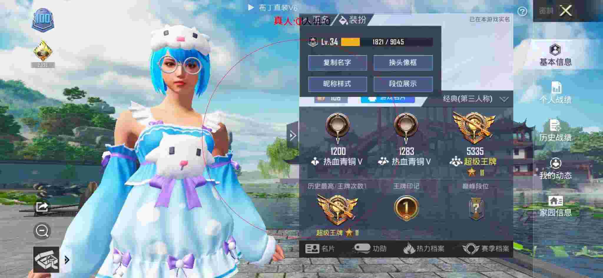 和平精英布丁直装透视 - 鸡你太美和平精英辅助下载辅助预览图